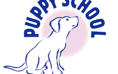 Puppy School Sponsors HTM Team GB